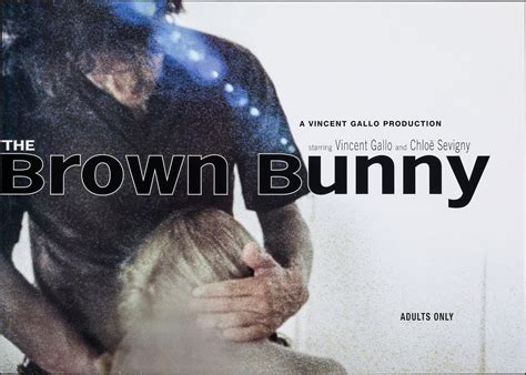 brown bunny famous scene.